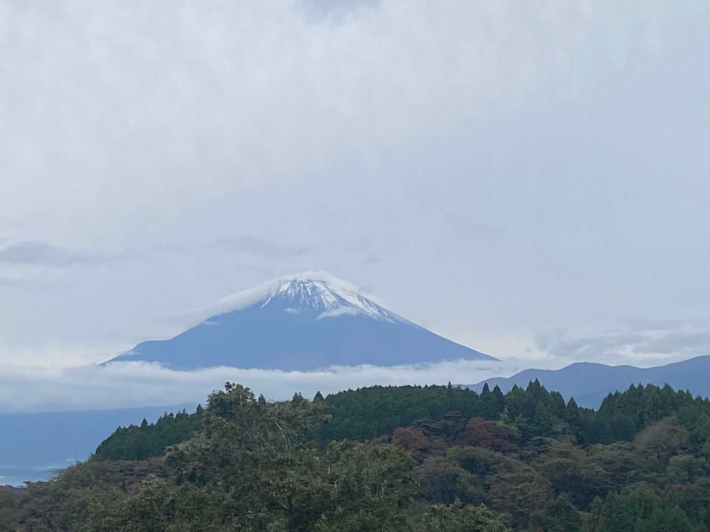 谷峨駅-大野山-山北駅 縦走コースの写真