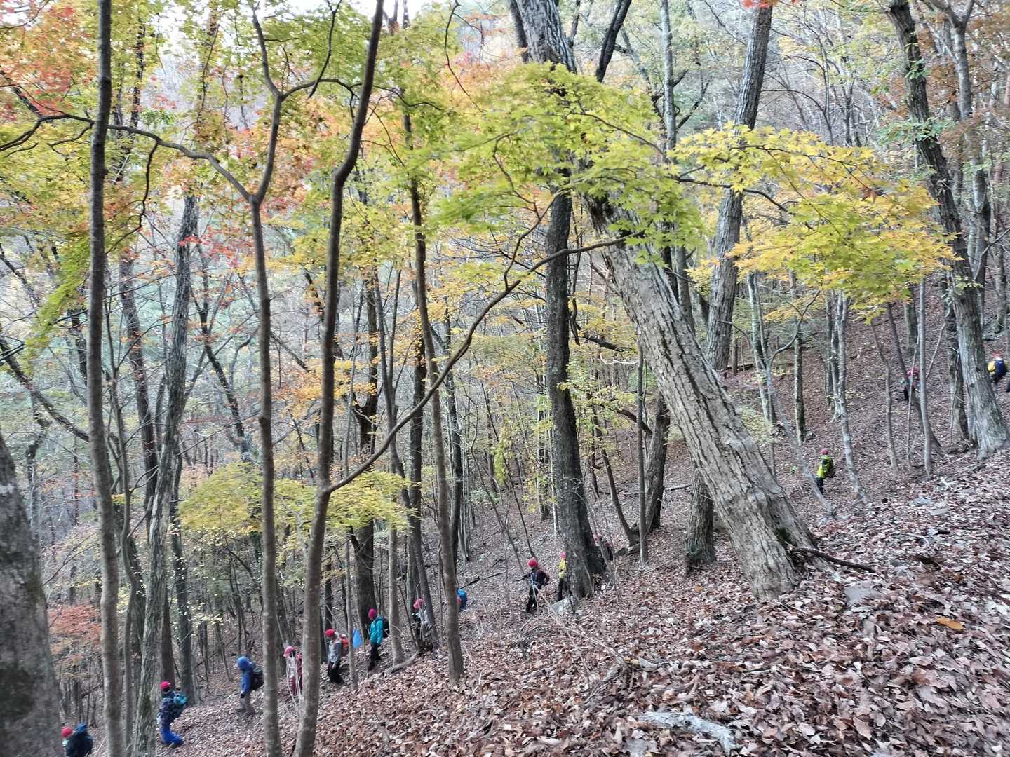 落ち葉の上を歩いて…🍂