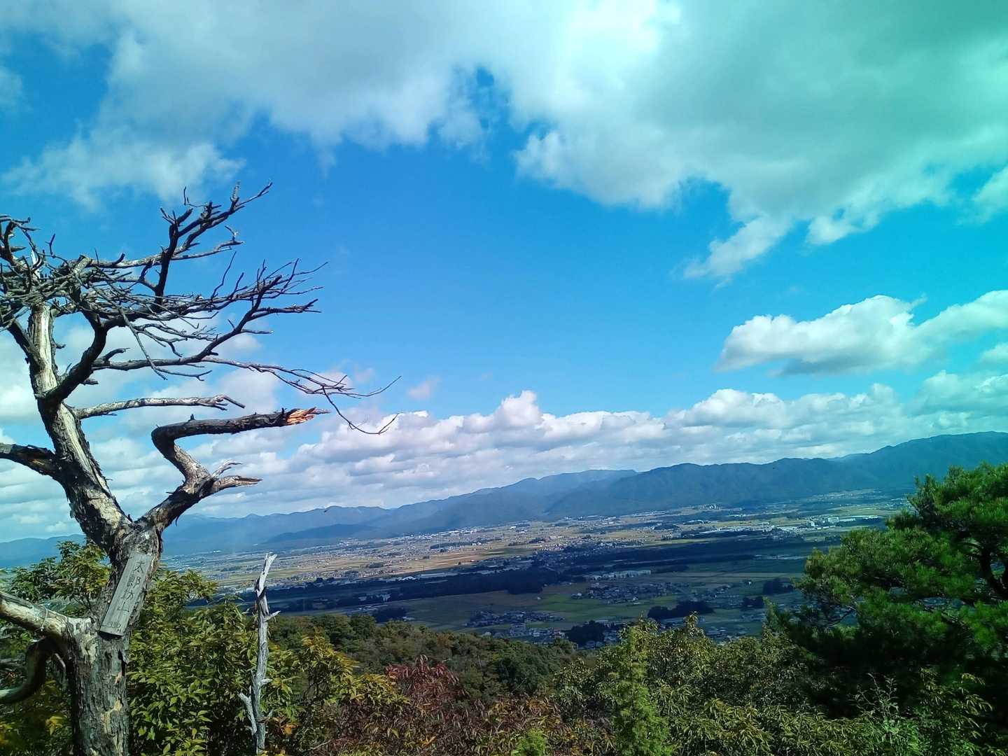 しかし暑い😓
朝と温度差15℃位有るんじゃない😂