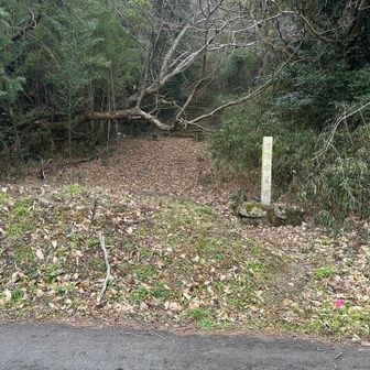 さざ波街道渡って登山口
⚠️交通量多いので注意