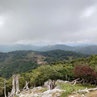 こっちは明神平とかかな