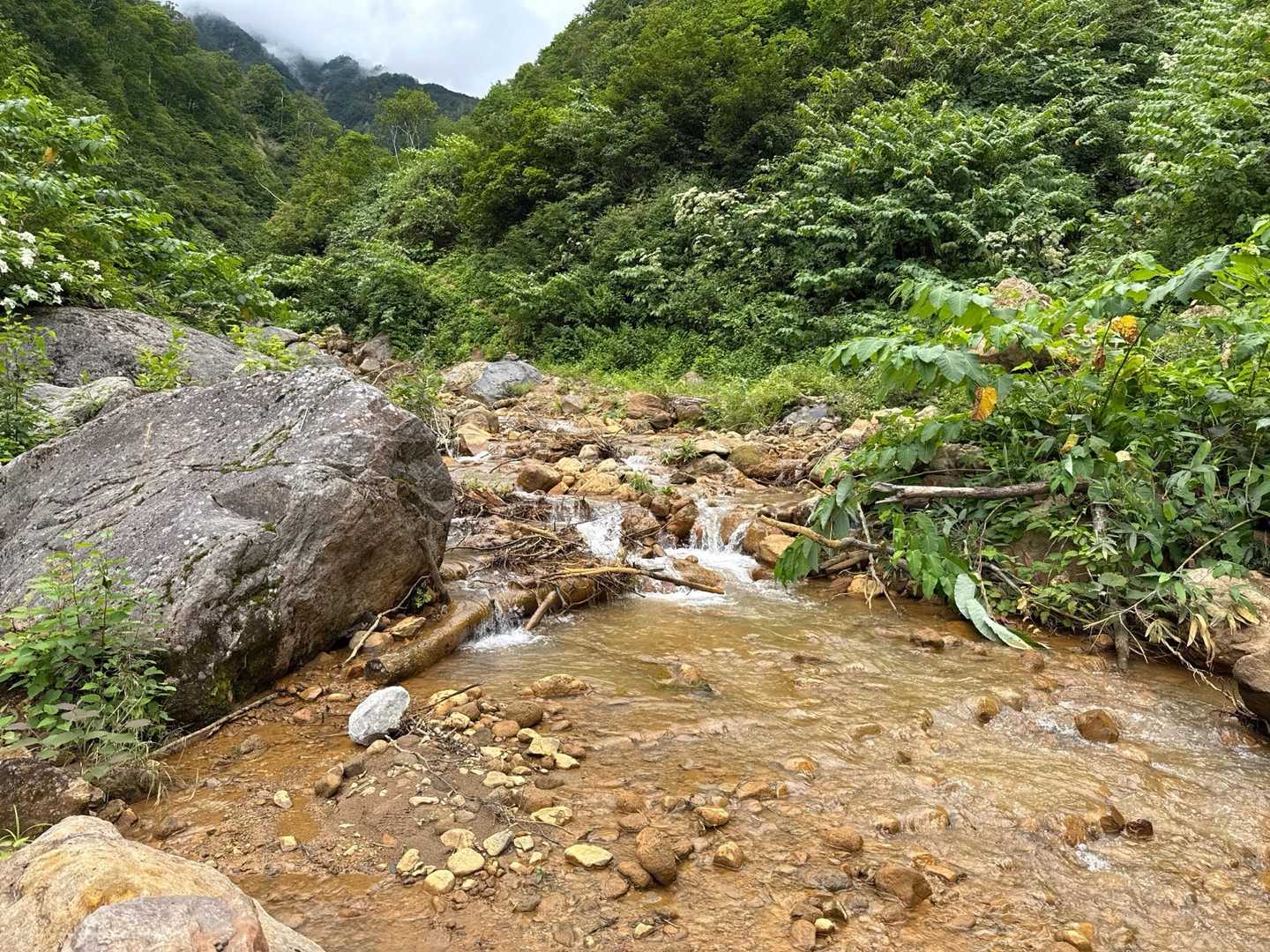 この少し上を渡渉した