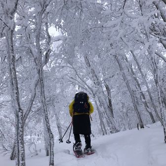 ソルトペッパー