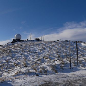 異世界に紛れ込んだみたい