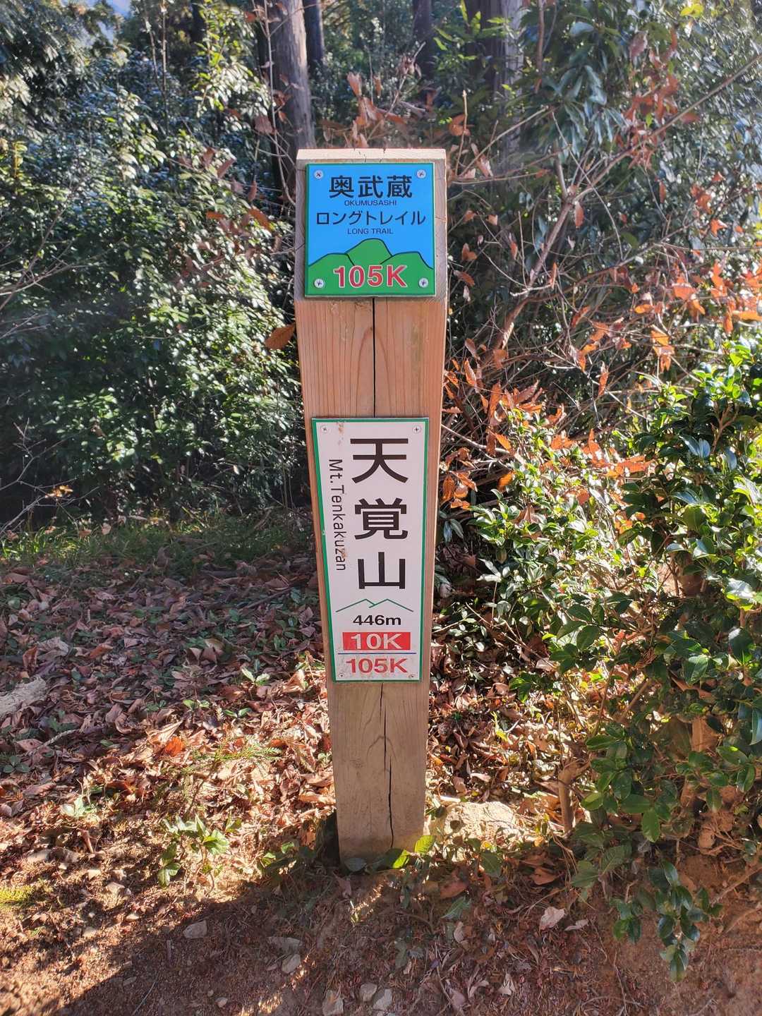 東吾野駅-天覚山-吾野ノ頭-大高山-栃屋ノ頭-六ツ石ノ頭- 縦走コースの写真