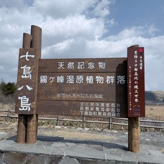 近くまで車で行かれるみたいですよ。😃