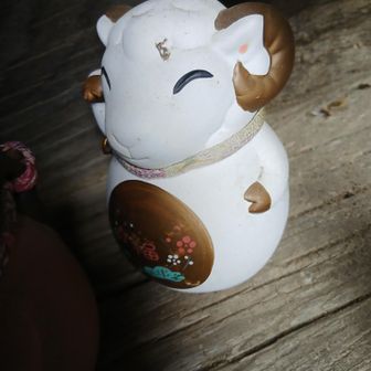 羊🐑