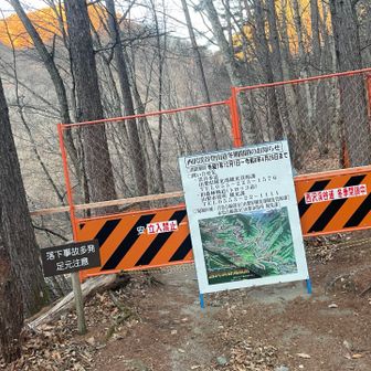 こちらを行くのが正解！