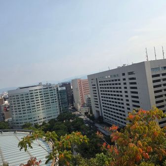 人工的建造物に囲まれて