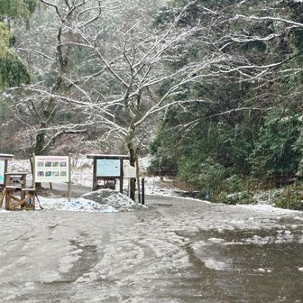 例年に比べ、人は少な目