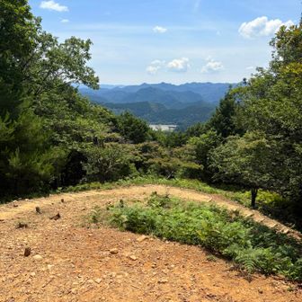 眼科に大鳥居が、旧本宮の跡に建ってる鳥居⛩️です