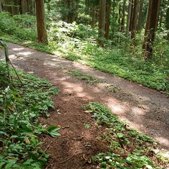 登山口に到着。ここから1時間半かけて舗装道を歩く