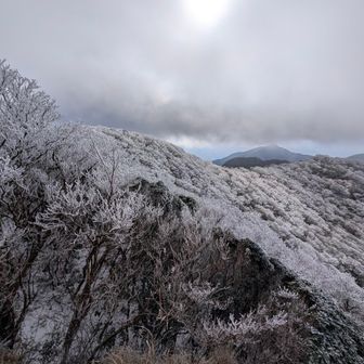 大箆柄岳直前で、南の御岳方面を見る図。
やっぱり冬は北西の風になるので西側が霧氷です。