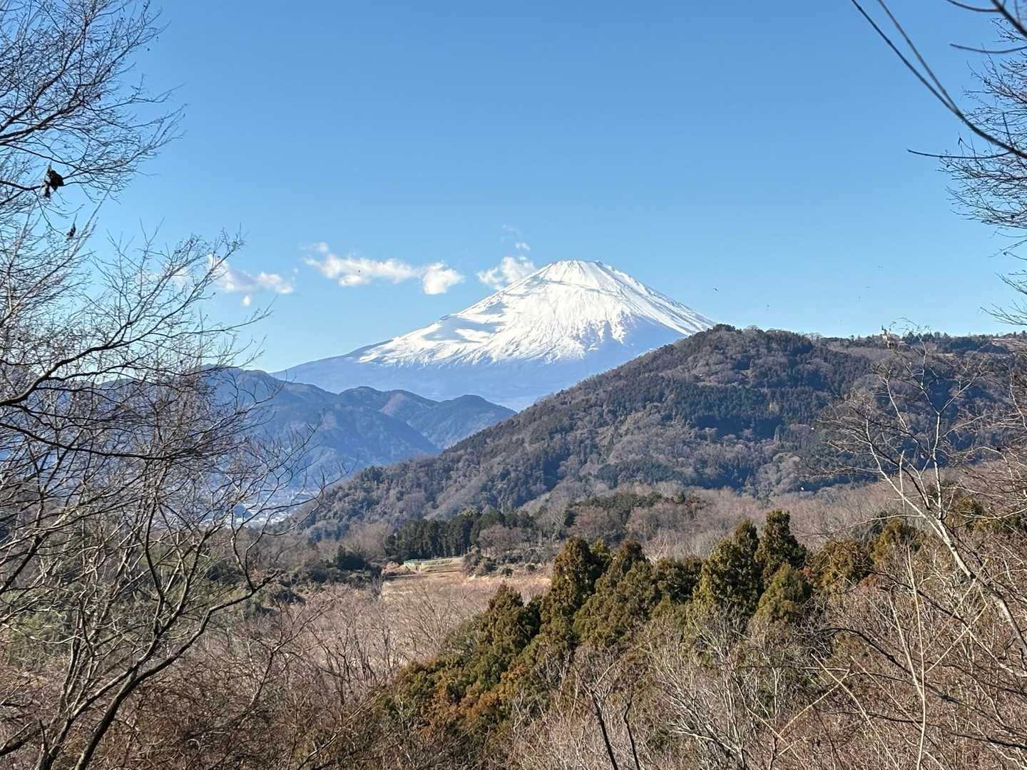 渋沢駅-頭高山-八国見山-浅間台-秦野駅 縦走コースの写真