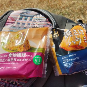 天神山から移動する途中に、温かいそばかラーメンを食べる予定でしたが、お店を見つけられずおにぎりに😆