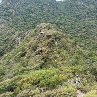 ゴジラの背方面⛰️