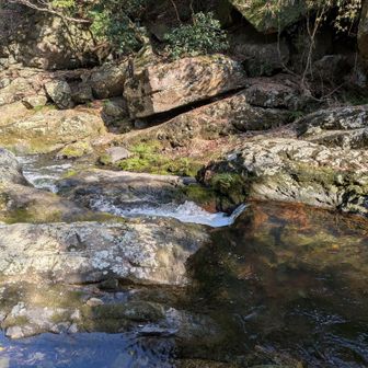 越えた〜♪たまらん🤩