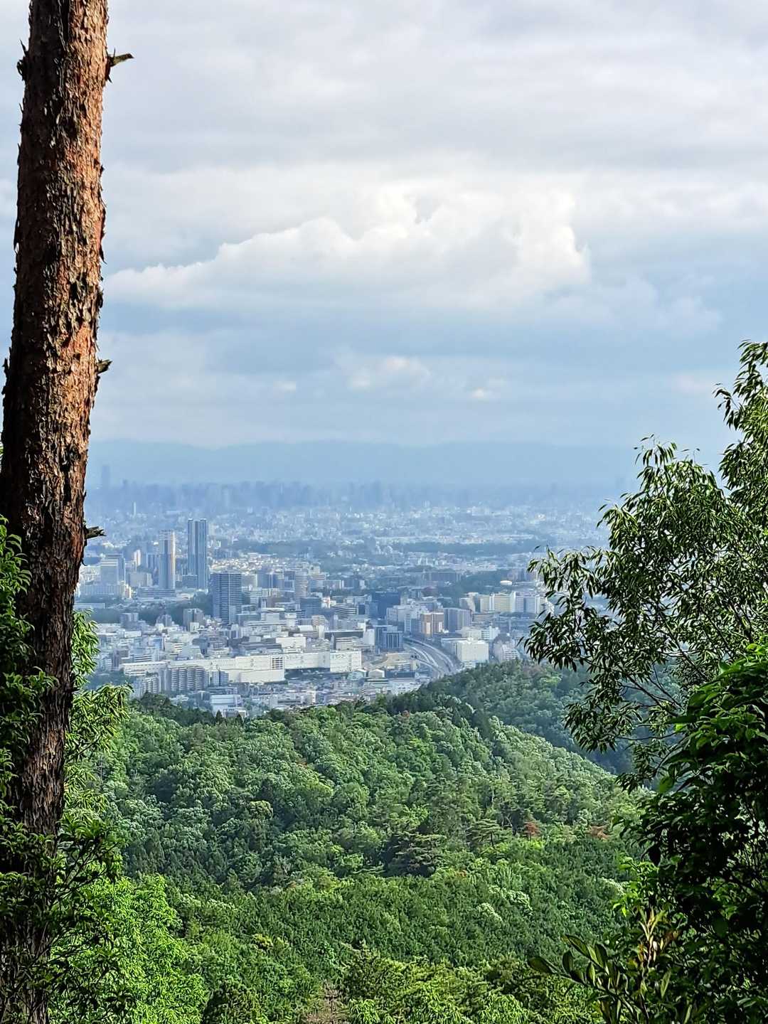 外院バス停 周回コースの写真