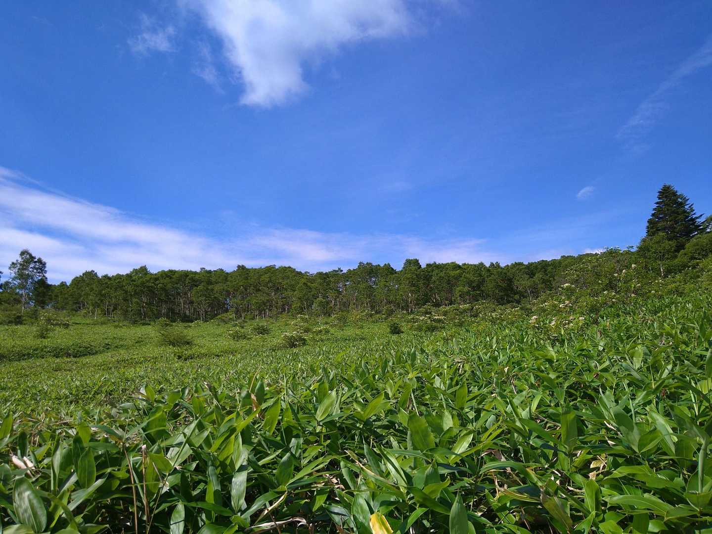 青空が綺麗👍