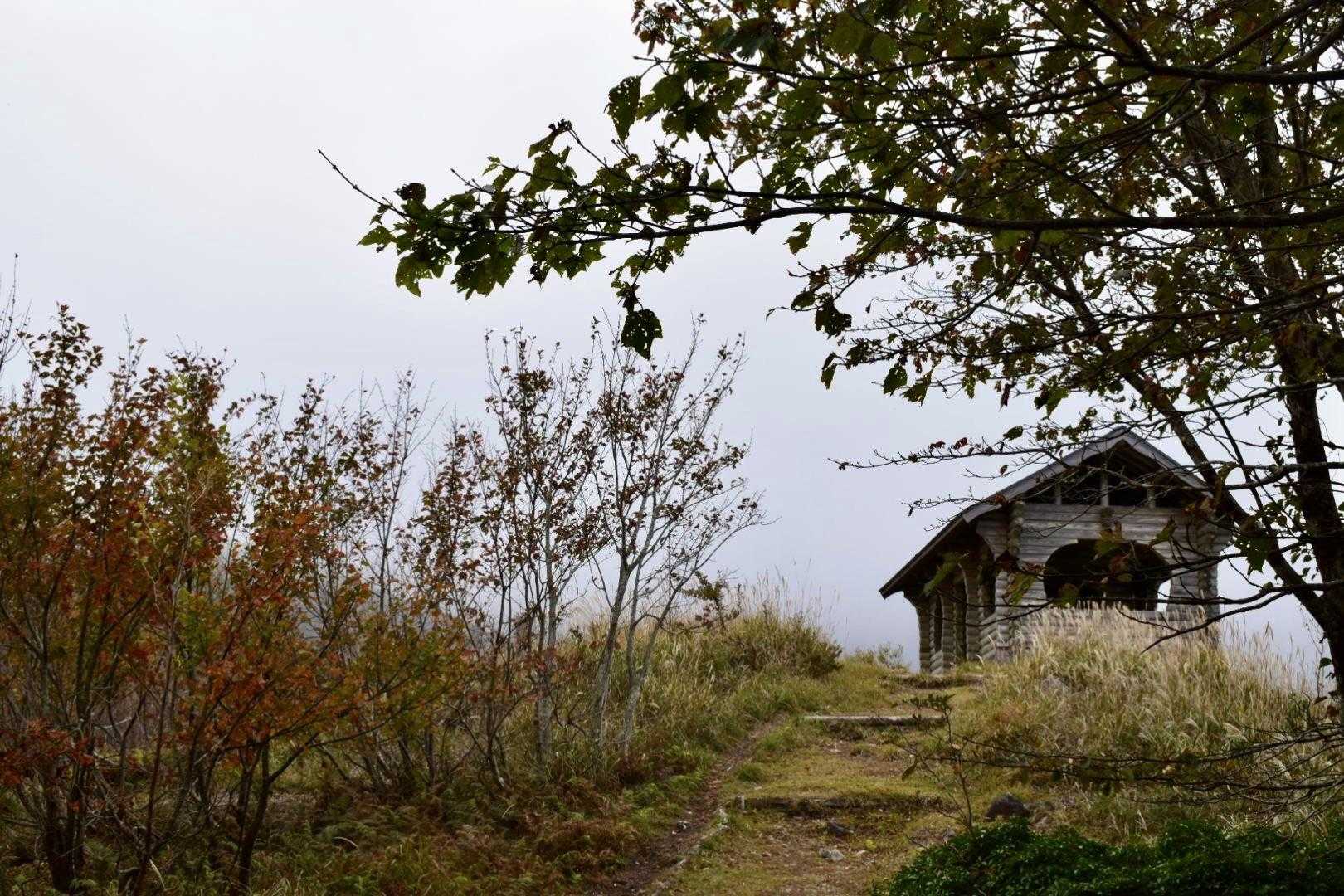 窓空きの小屋が・・・

ええっΣ（・□・；）
白いですやん