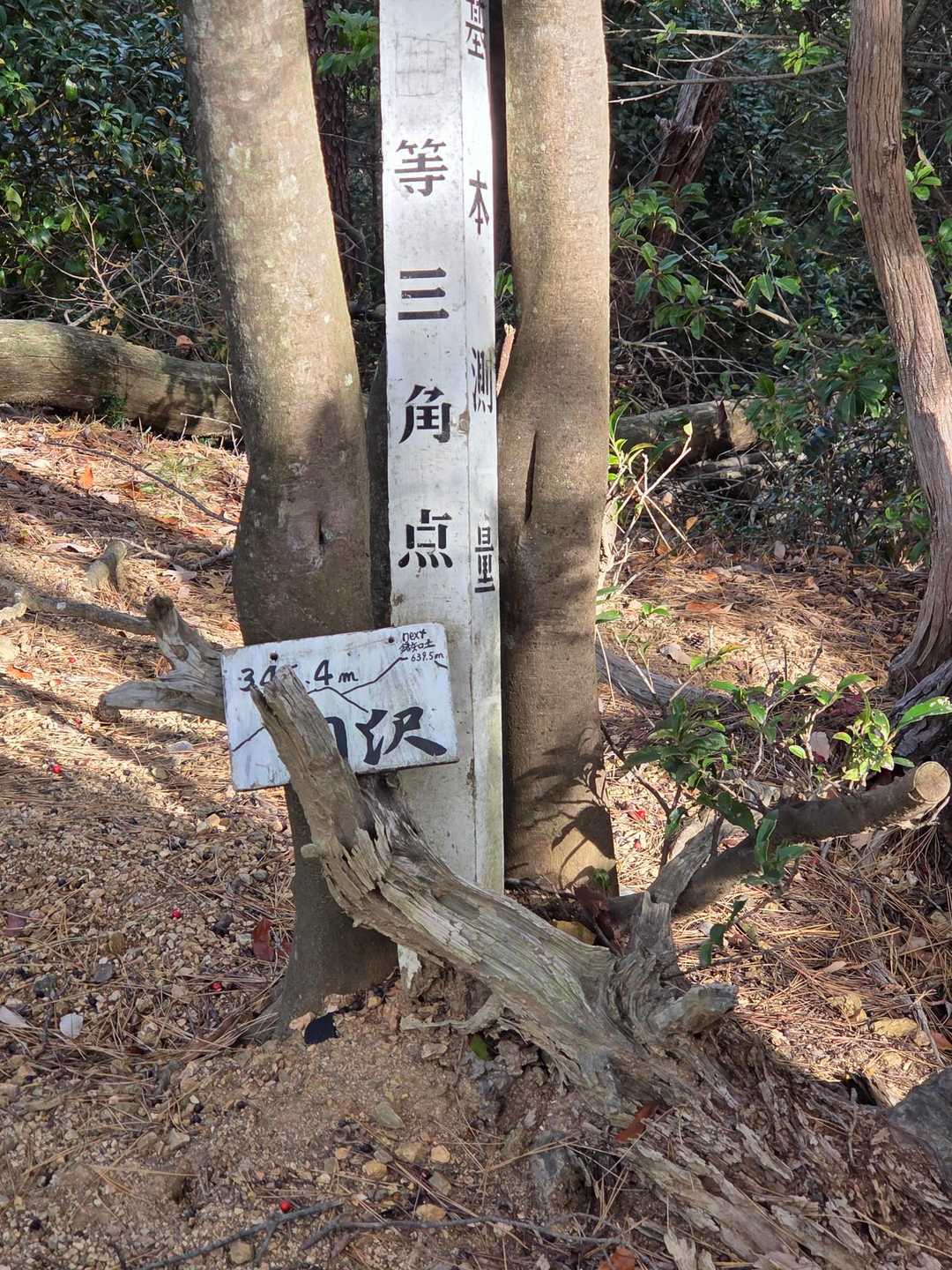 あっという間に羽沢
