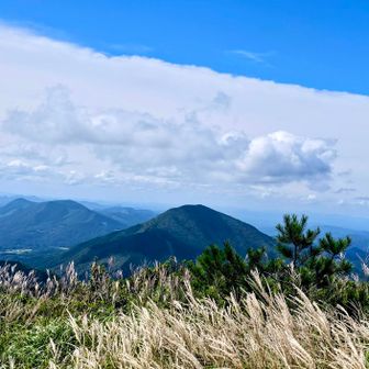 猫山をバックに芒🌾
山はすっかり秋の気配👍