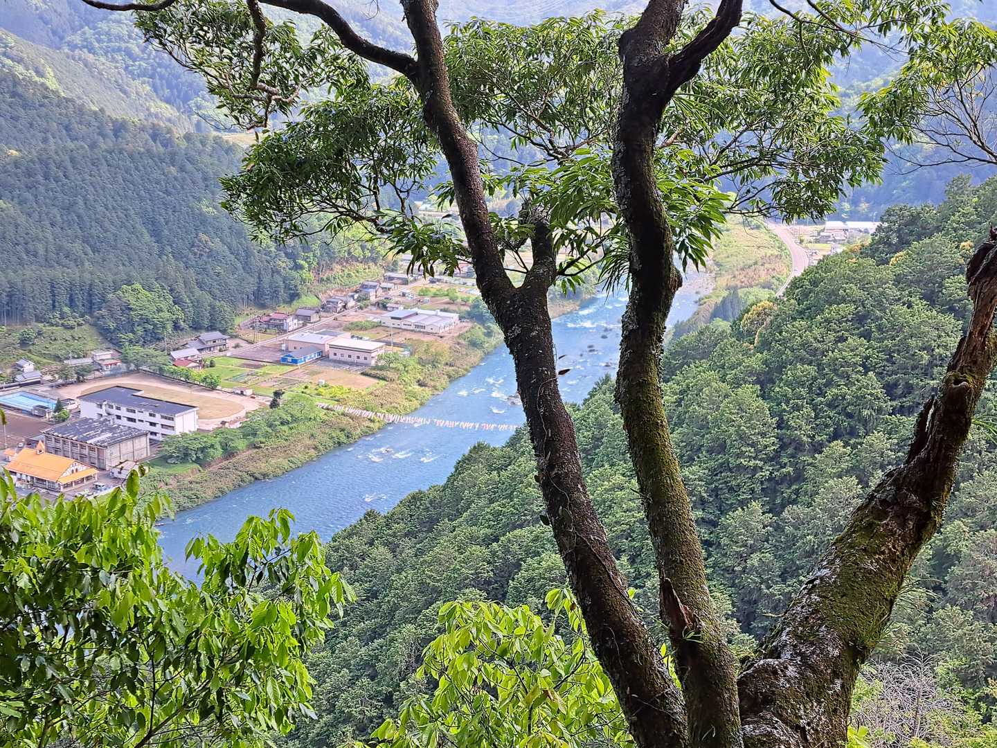 この時期毎年掛けられる洲原橋下流の鯉幟群も見えます。