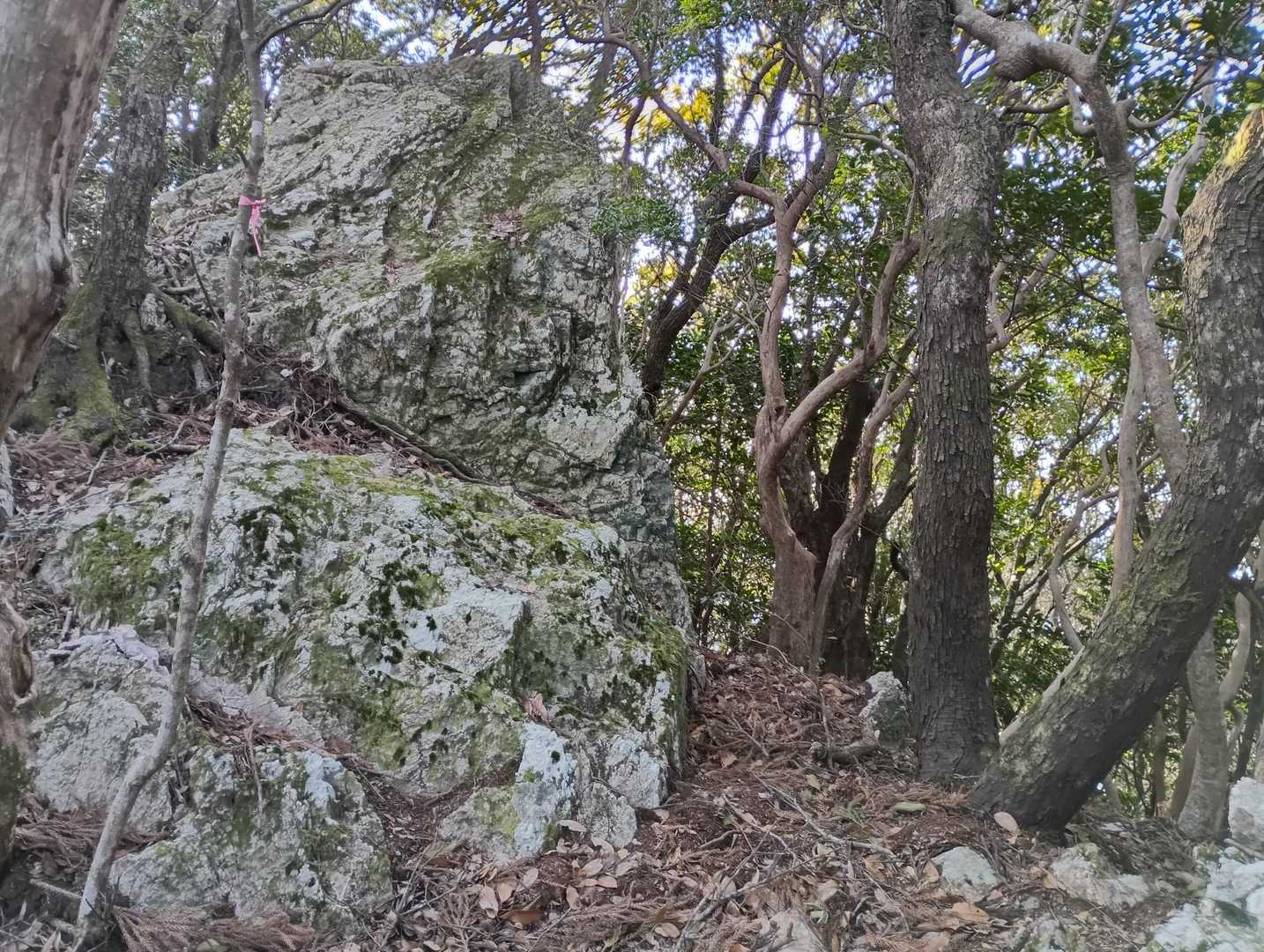 剣峠-八祢宜山-八大竜王西峰-八大竜王-京路山 周回コースの写真