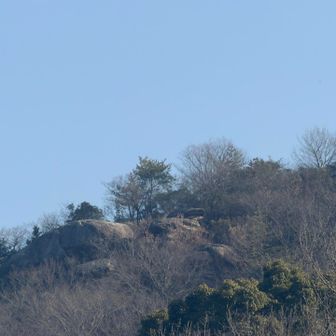 ここから見ると亀に見えると伝えられているのだと