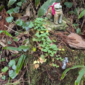 下山時、🐻スプレーを山頂のベンチに置き忘れたことに気づき、2登目登山😂
滝ヶ原から鞍掛山への最短コース、中ノ谷登山道から👣