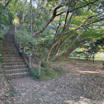 源氏山はトイレの裏から登る。

今回、トイレ多くて助かる。