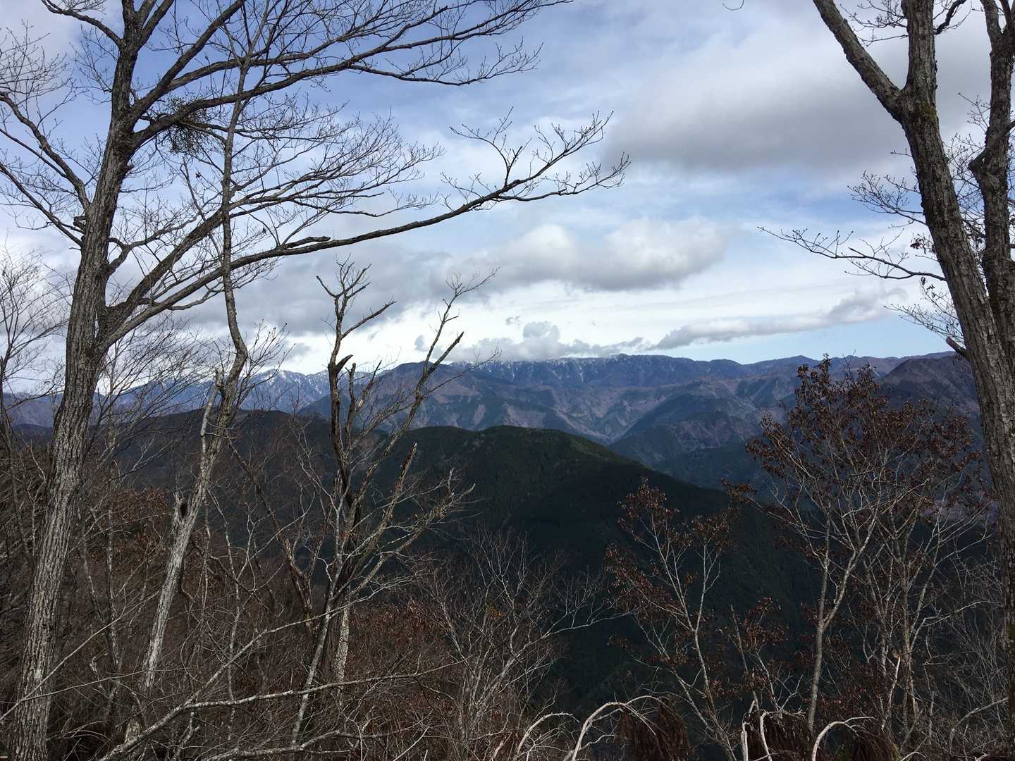 午前中は木々越しにクリアに見えた深南部雲が掛かって来てしまいました
