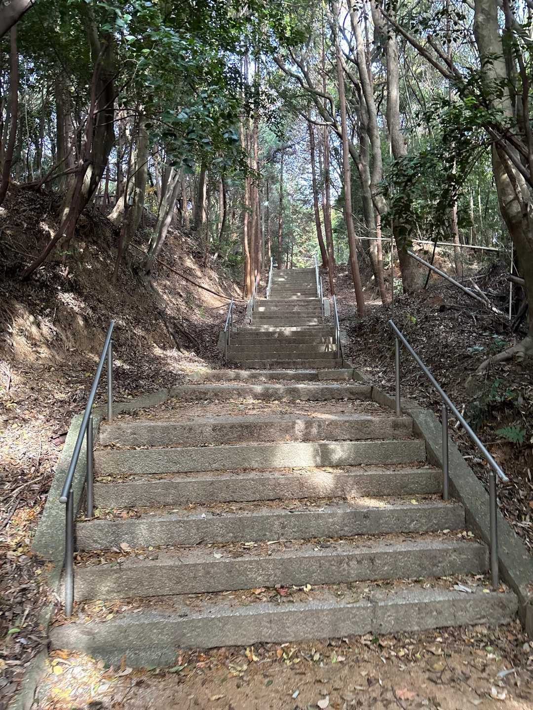 長い….