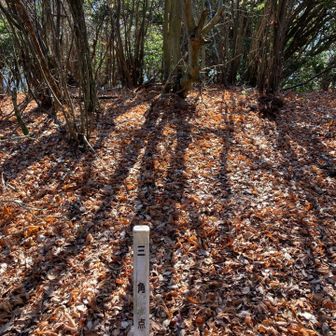 平石山に登頂。