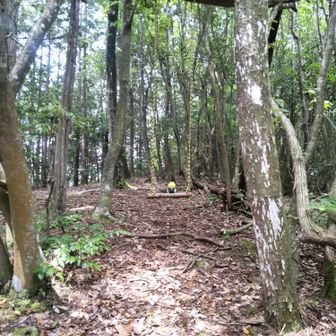 山頂からそのまま東へ行くと南登山口との分岐にあります…🚶‍♀️