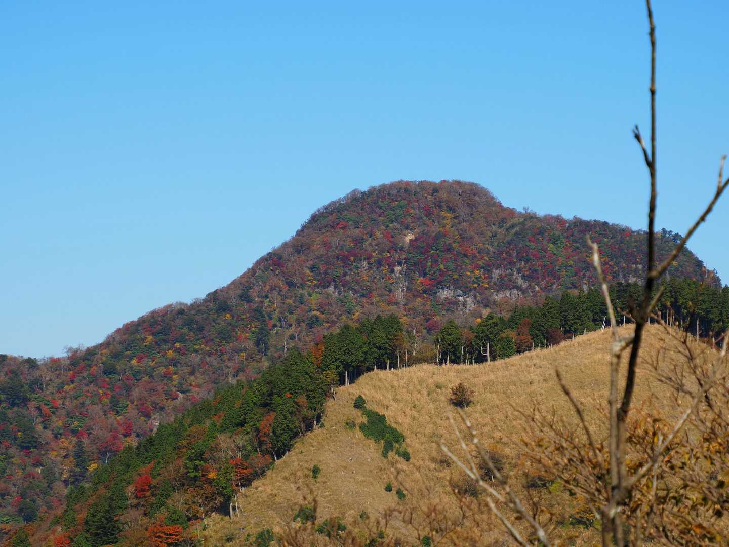 正面に、猫の丸尾と英彦山南岳…だよね😅