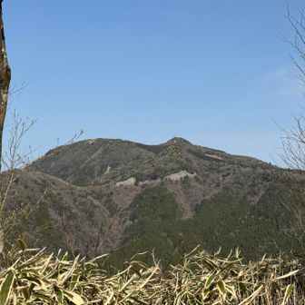 鞍岳とツームシ山がきれい
後からグループの皆さんが登ってこられました。
シロキツネノサカズキモドキ🍄‍🟫を見かけた場所の情報をいただきました😊🙏
ありがたいです。
今日はこれから鞍岳〜ツームシまで行くそう😆

