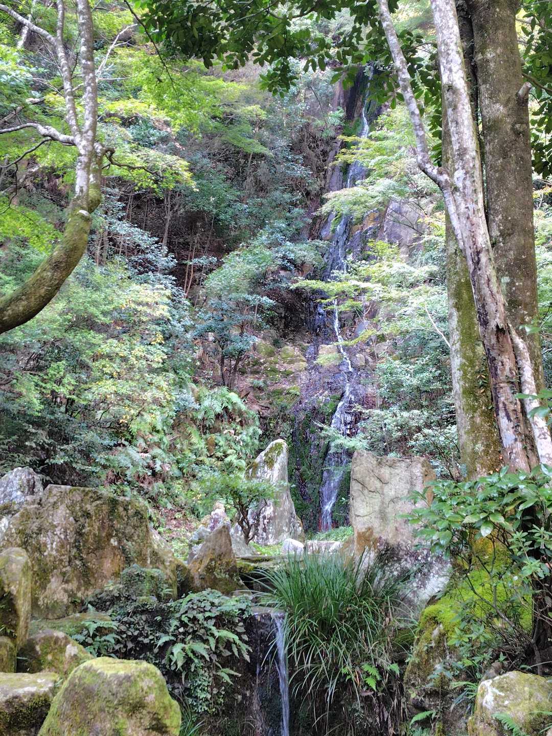 マイナスイオン✨