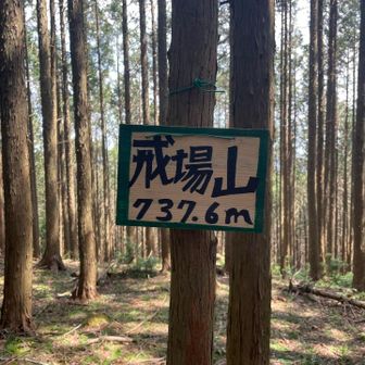 一つ目のピークでもう汗だく💦