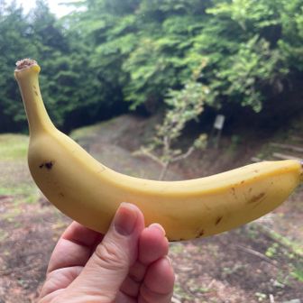 さあラストスパートです♪
バナナ🍌でパワーチャージ

この先の格闘を思えばしっかりチャージしておいて良かった😅
