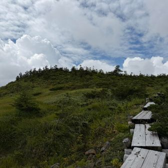 東大顚山頂も緩い盛り上がり
西吾妻山と東大顚、山頂周辺は眺め良い場所多いのに山頂の場所がピンポイントに高い木々覆われてるのが惜しい
