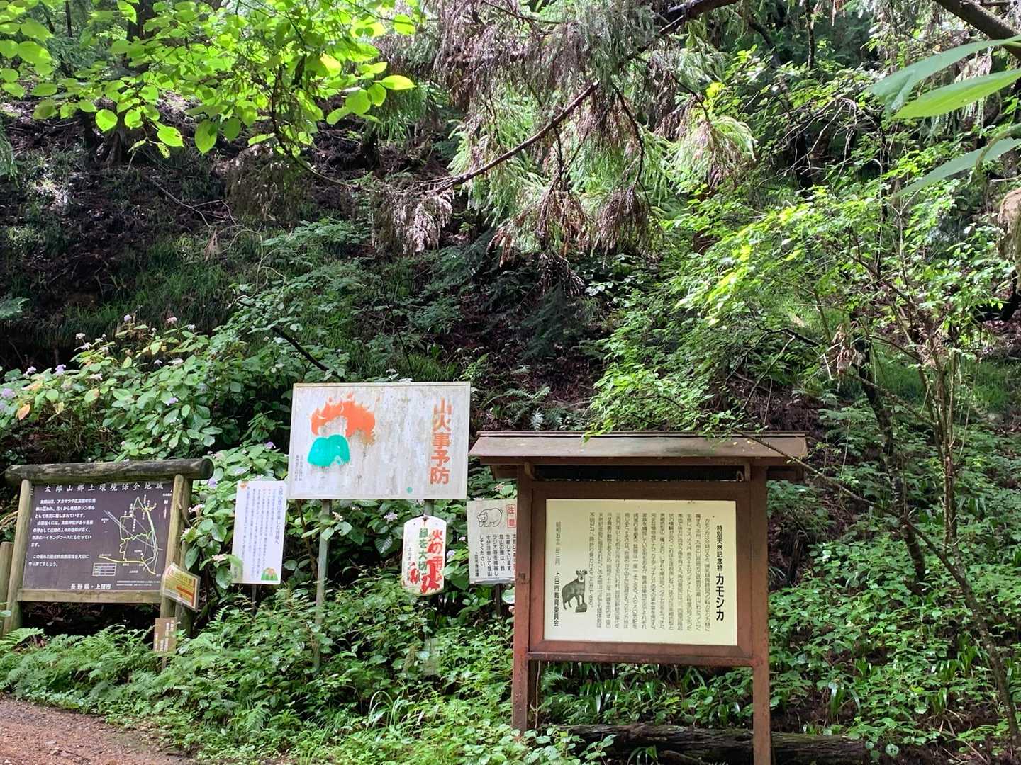 裏参道登山口