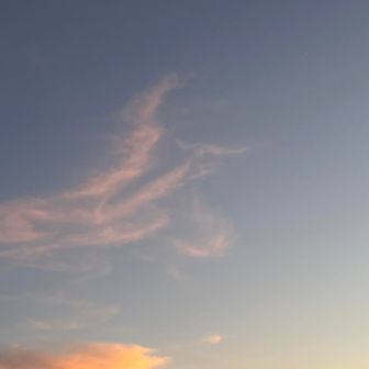 お月さん🌙