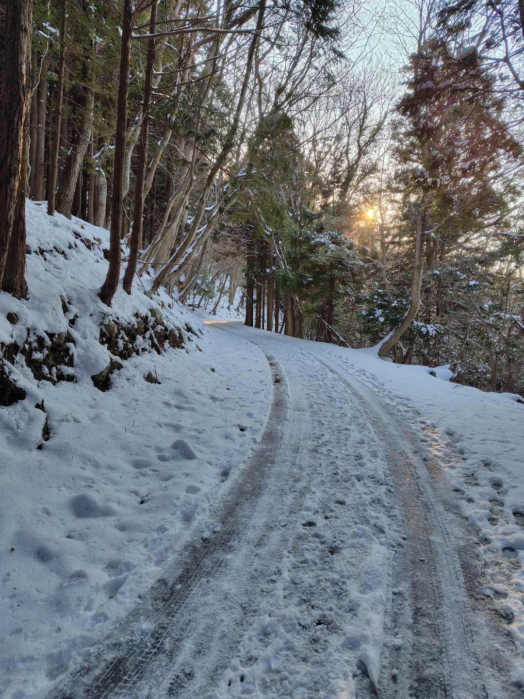 曇りと思ったらお日様が✨