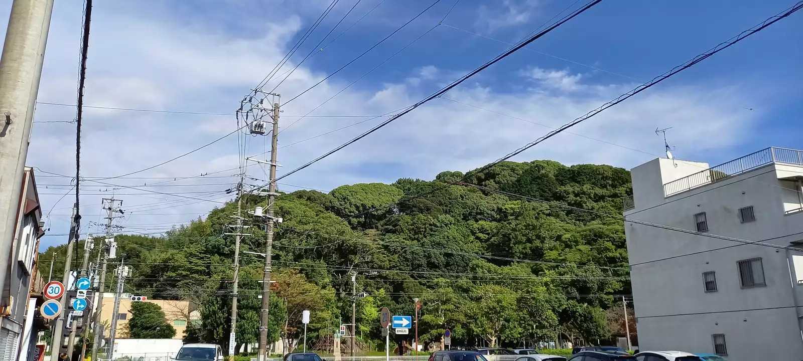 谷津山の写真