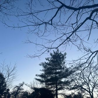 やっぱ山火事か、自衛隊のヘリがバケツ付けて飛んでる