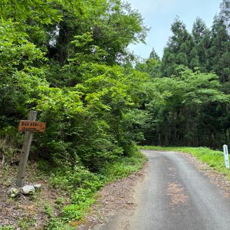 ながかった〜