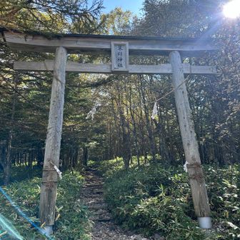 無事下山　4時間ジャストでした🕐