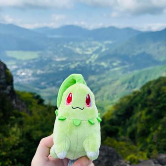 あさり