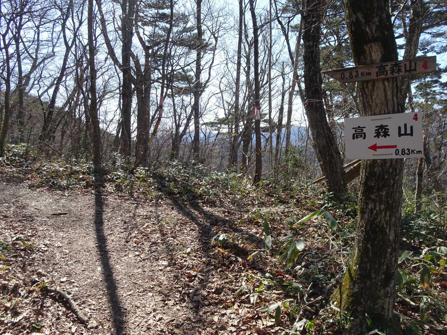 高森山登山口-高森山-馬場山 周回コースの写真